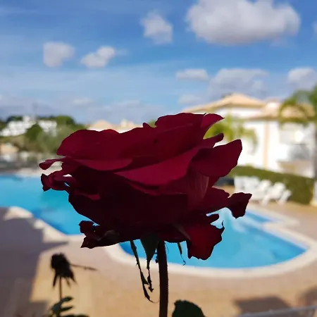 Βίλα Sergio S Place - Farm Village - By Algarkasa Αλμπουφέιρα